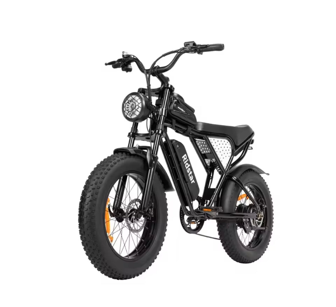 2025 Q20 Mini Electric Bike