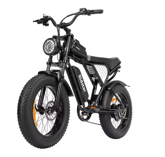 2025 Q20 Mini Electric Bike